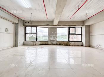 觀止高樓毛胚自由設計大戶