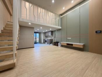 湖濱城挑高戶型！最美釋出