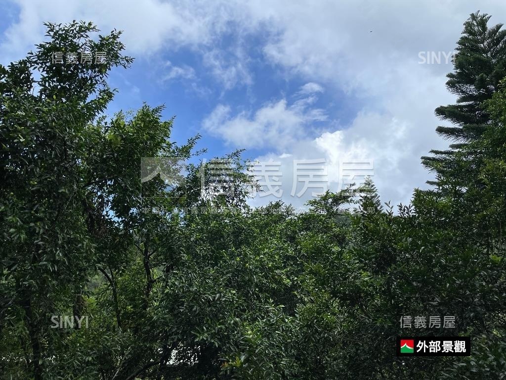 花園新城綠景美宅房屋室內格局與周邊環境