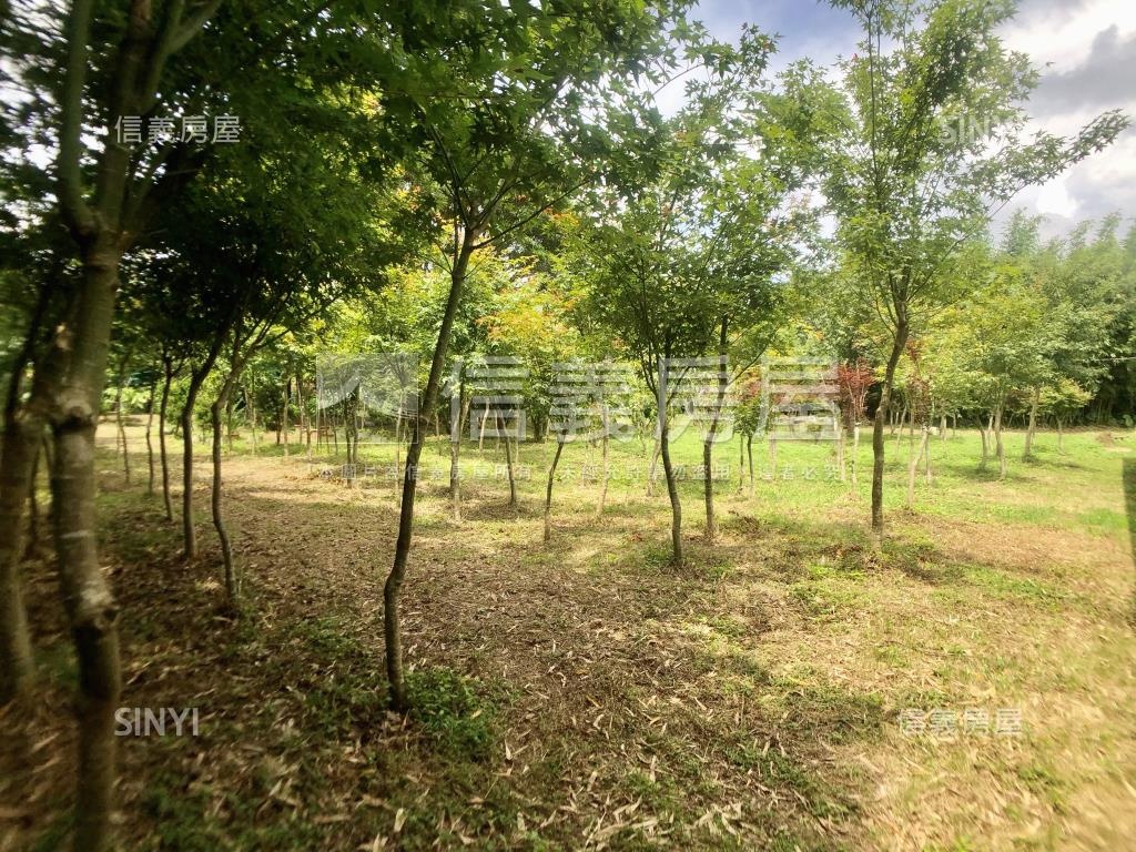 菁山路邊間大土地房屋室內格局與周邊環境