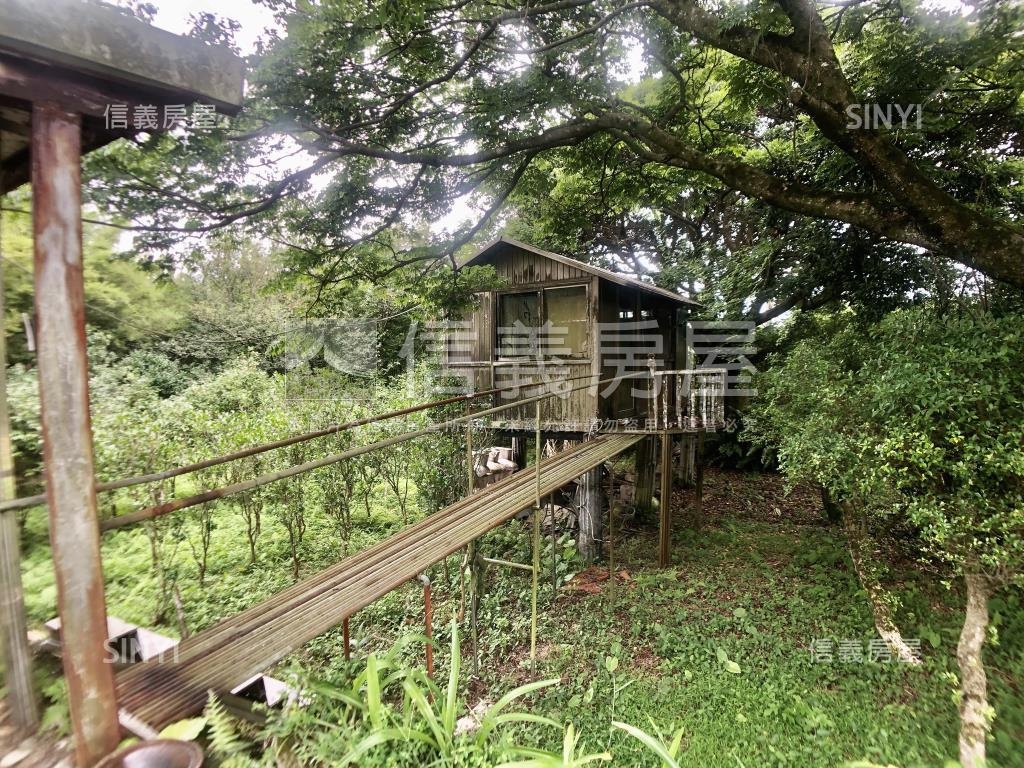 菁山路邊間大土地房屋室內格局與周邊環境