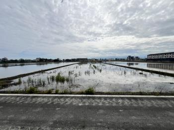 宜蘭壯圍開心農場