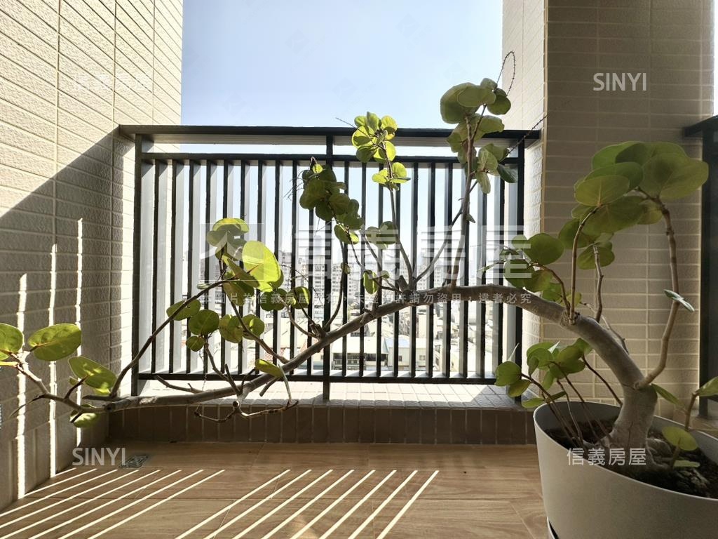 星帝標二房二衛平車房屋室內格局與周邊環境