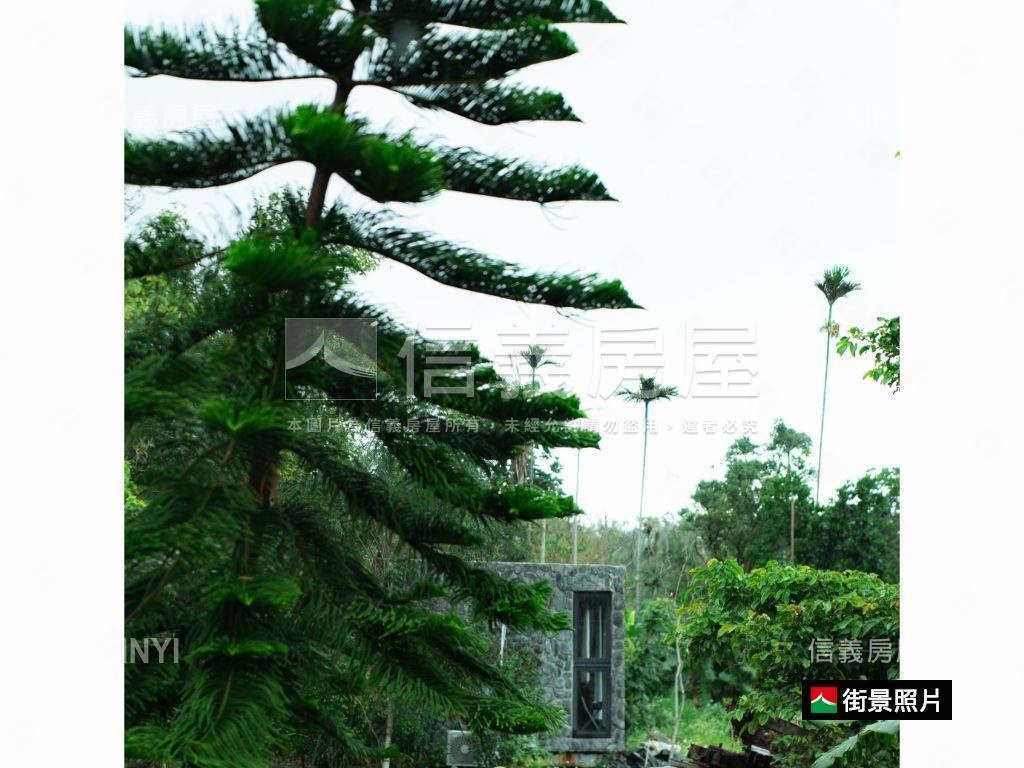 台東小馬農牧土地Ａ房屋室內格局與周邊環境