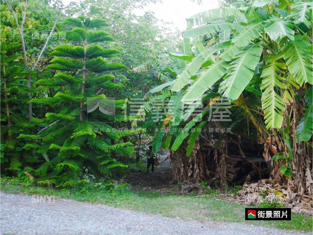 台東小馬農牧土地Ａ房屋室內格局與周邊環境