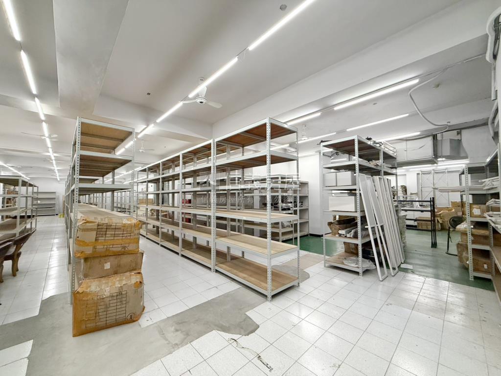 巨蛋｜無住字樣｜百坪店鋪房屋室內格局與周邊環境