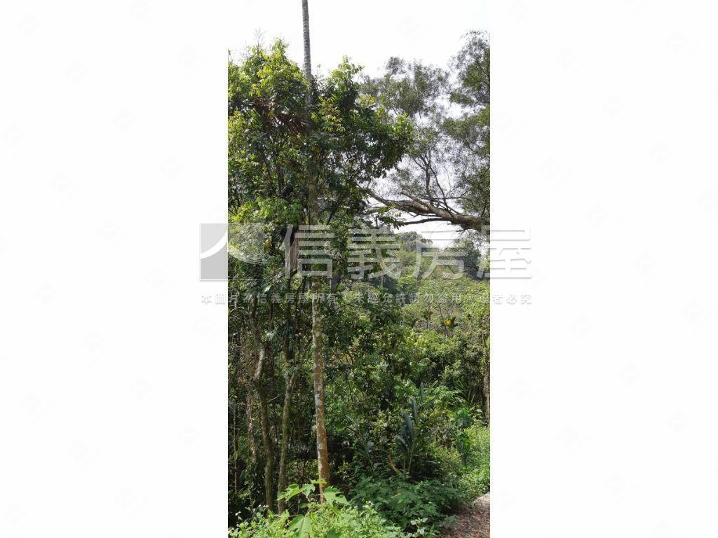 北屯大湖巷休閒舒心農地房屋室內格局與周邊環境