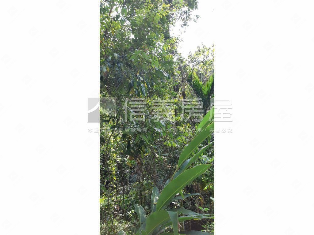 北屯大湖巷休閒舒心農地房屋室內格局與周邊環境
