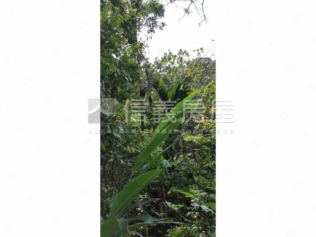 北屯大湖巷休閒舒心農地房屋室內格局與周邊環境