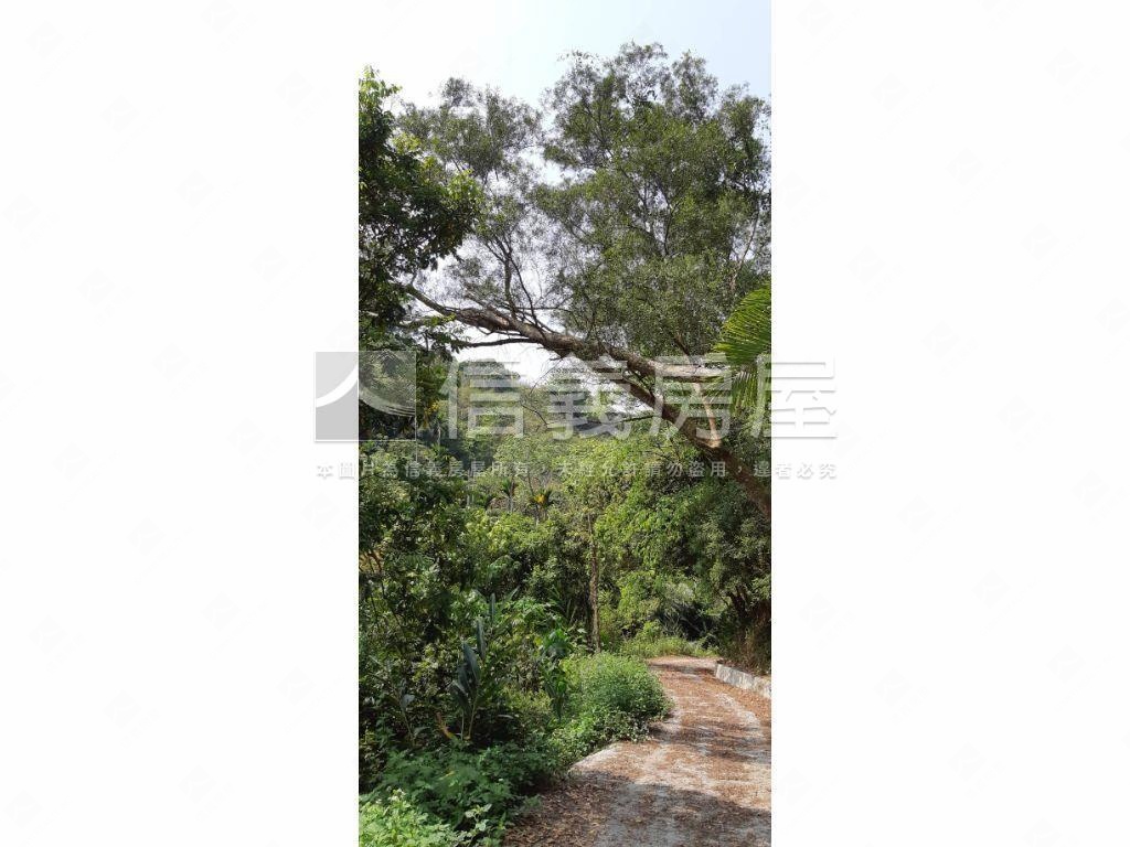 北屯大湖巷休閒舒心農地房屋室內格局與周邊環境
