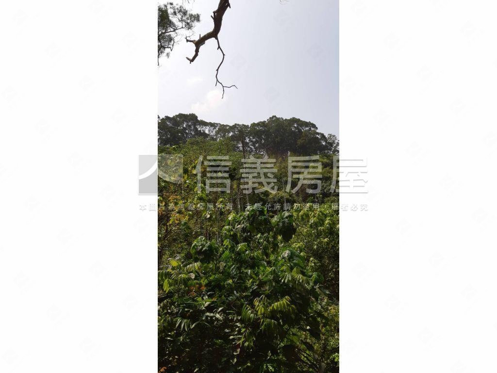 北屯大湖巷休閒舒心農地房屋室內格局與周邊環境
