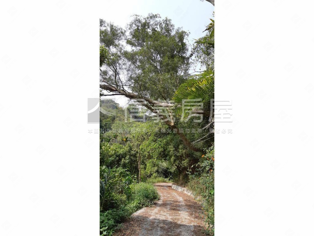 北屯大湖巷休閒舒心農地房屋室內格局與周邊環境