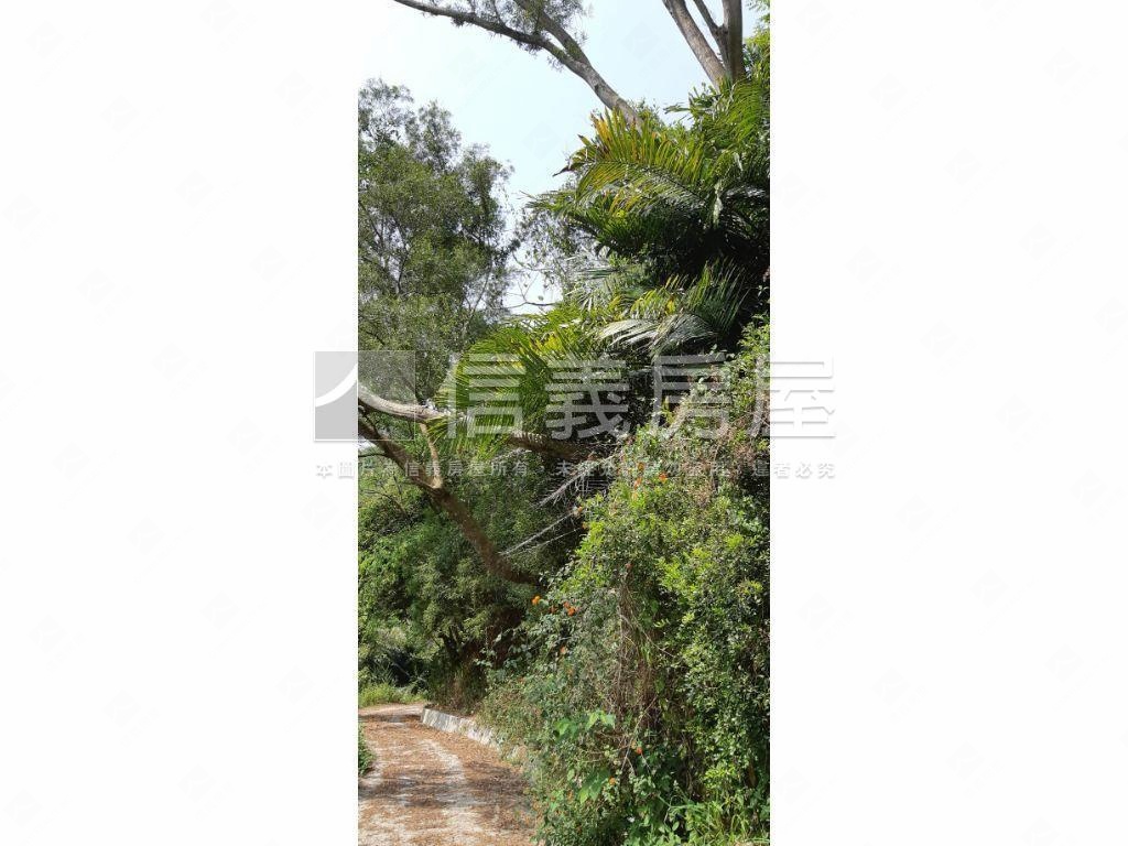 北屯大湖巷休閒舒心農地房屋室內格局與周邊環境