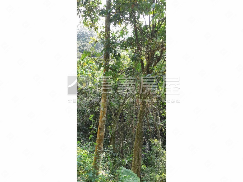 北屯大湖巷休閒舒心農地房屋室內格局與周邊環境
