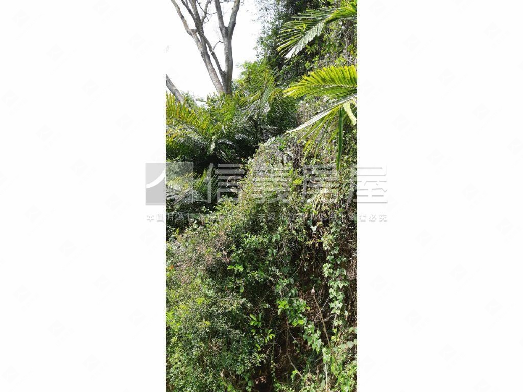 北屯大湖巷休閒舒心農地房屋室內格局與周邊環境