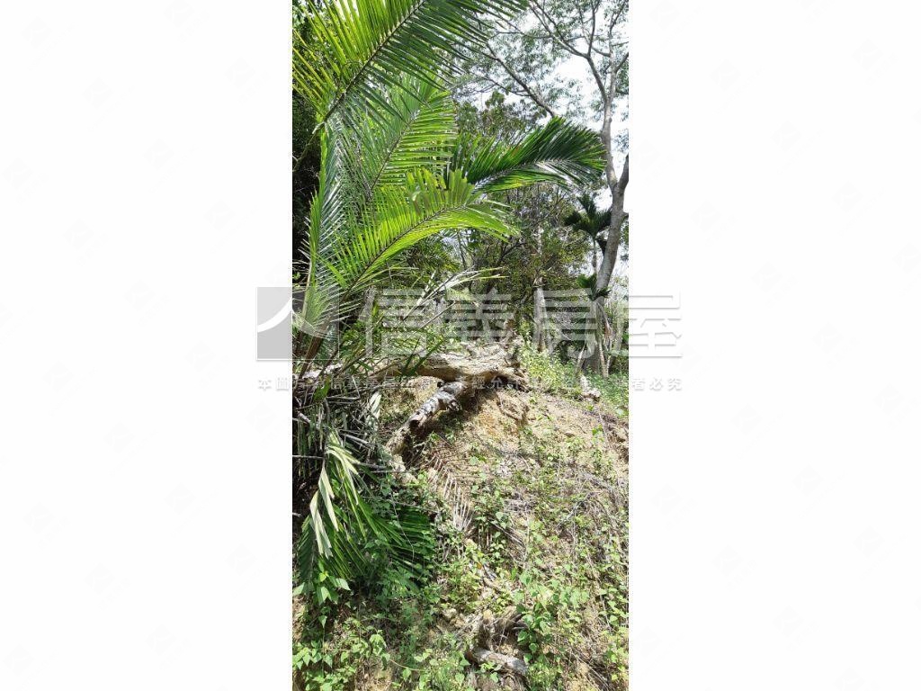 北屯大湖巷休閒舒心農地房屋室內格局與周邊環境