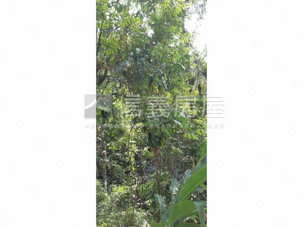 北屯大湖巷休閒舒心農地房屋室內格局與周邊環境