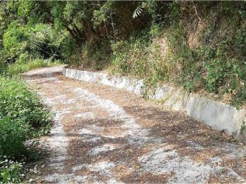 北屯大湖巷休閒舒心農地