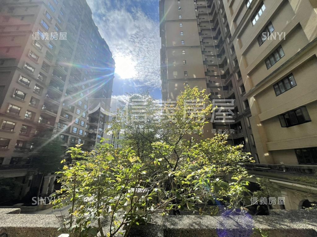 國際館露台戶綠意樹梢美景房屋室內格局與周邊環境