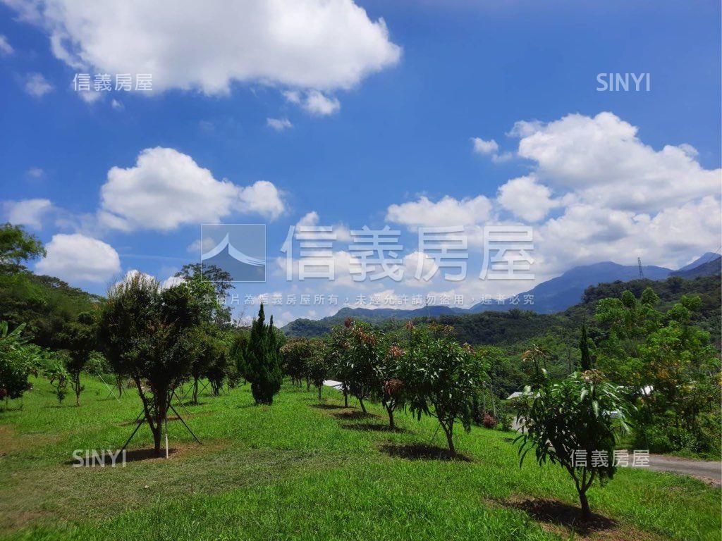 南投中寮近市區臨路美地俗房屋室內格局與周邊環境