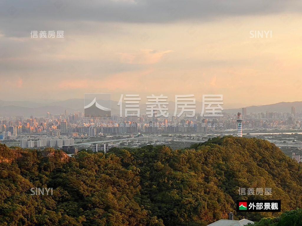 『威靈頓』朝南霸景帝王戶房屋室內格局與周邊環境