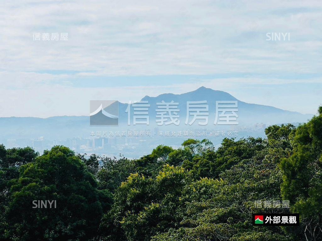 『威靈頓』朝南霸景帝王戶房屋室內格局與周邊環境