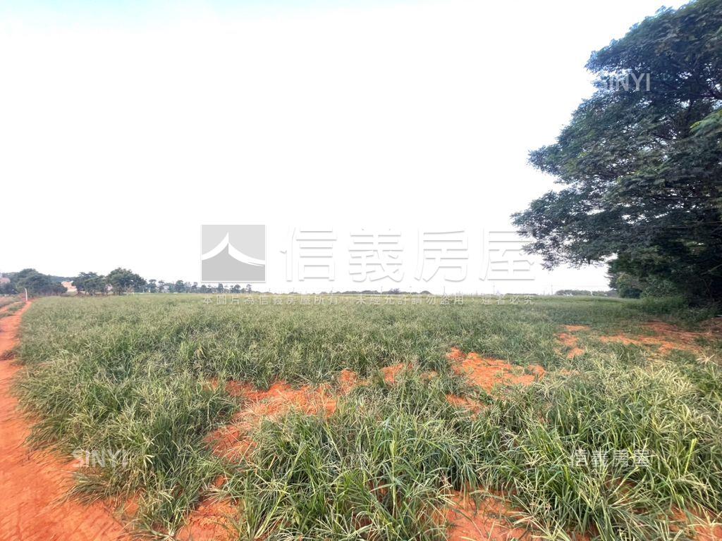 沙鹿已申請農業證明土地房屋室內格局與周邊環境