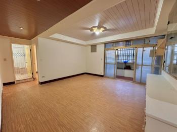 稀有樟樹一路機能方正頂加