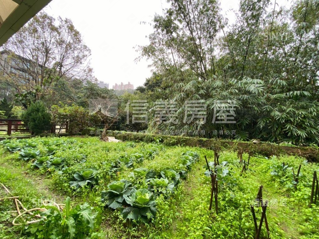 陽明山大亨庭園別墅房屋室內格局與周邊環境