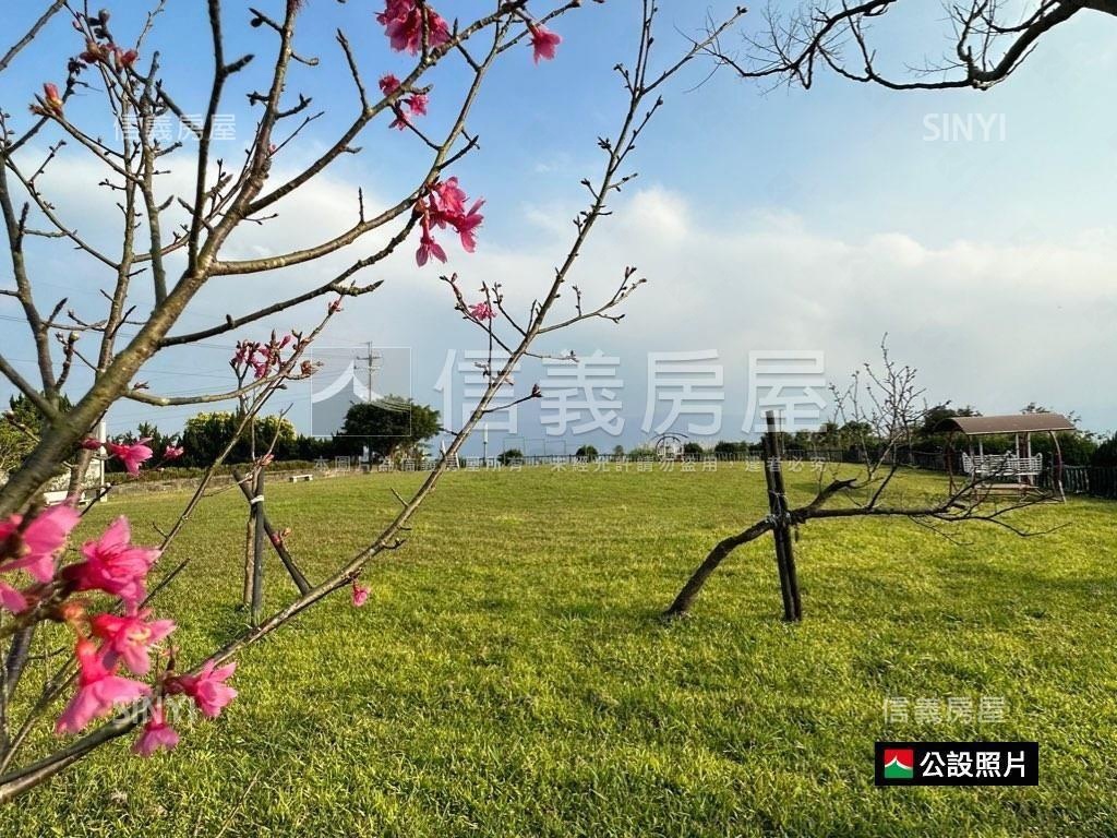 老爺山莊．高檔別墅房屋室內格局與周邊環境