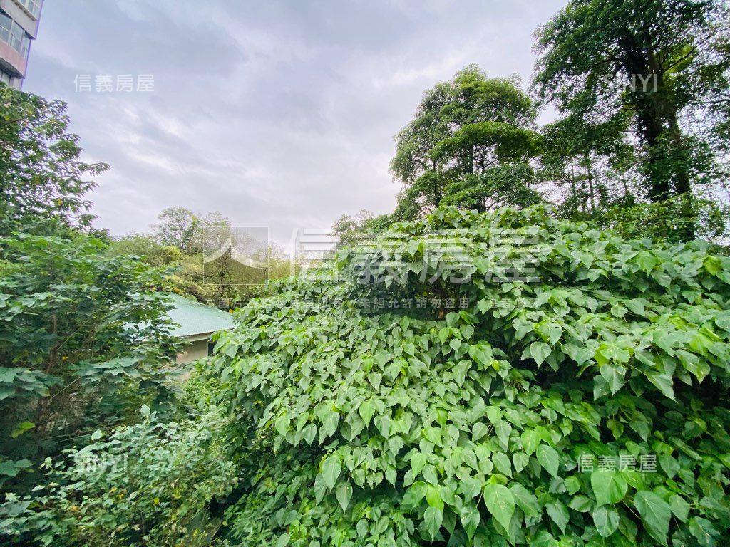 深坑區稀有農牧用地房屋室內格局與周邊環境