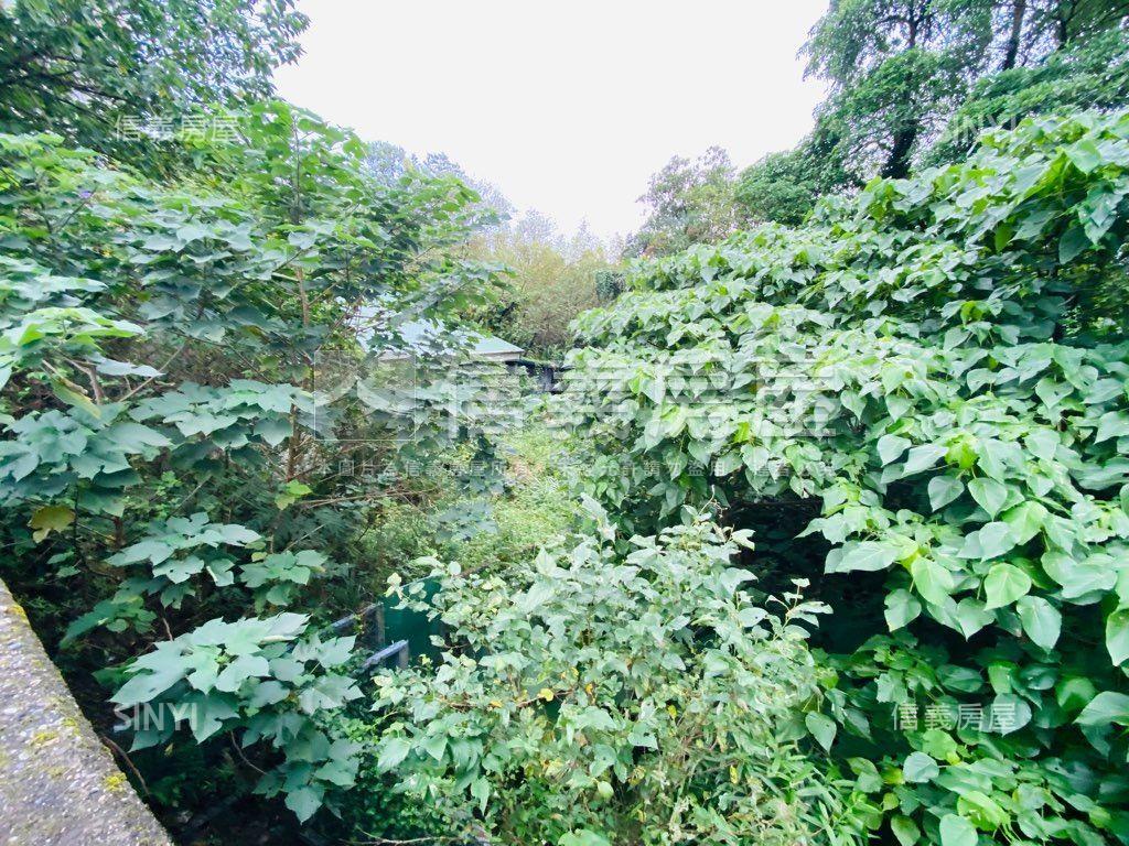 深坑區稀有農牧用地房屋室內格局與周邊環境