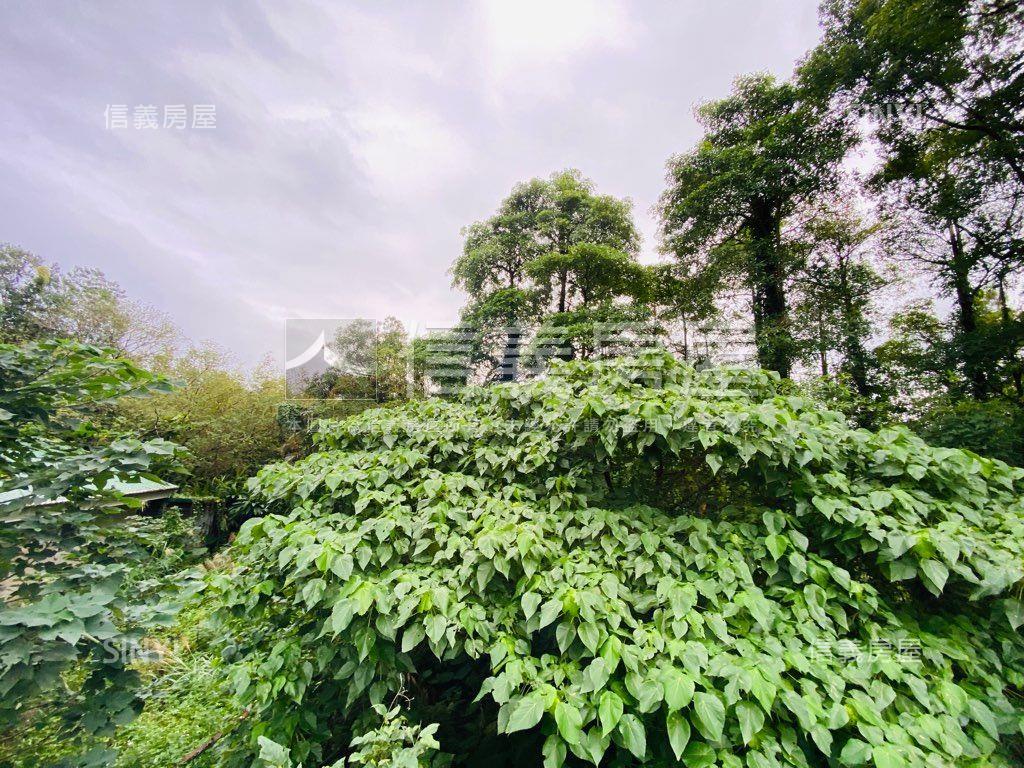 深坑區稀有農牧用地房屋室內格局與周邊環境
