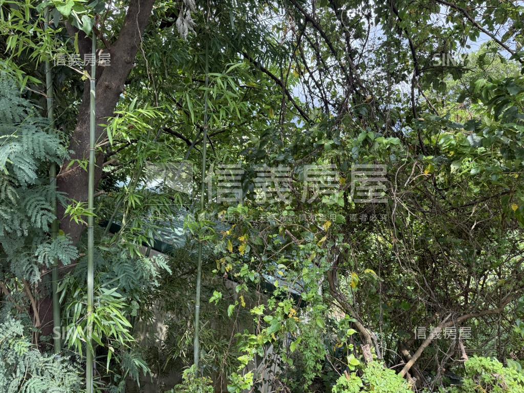 深坑區稀有農牧用地房屋室內格局與周邊環境