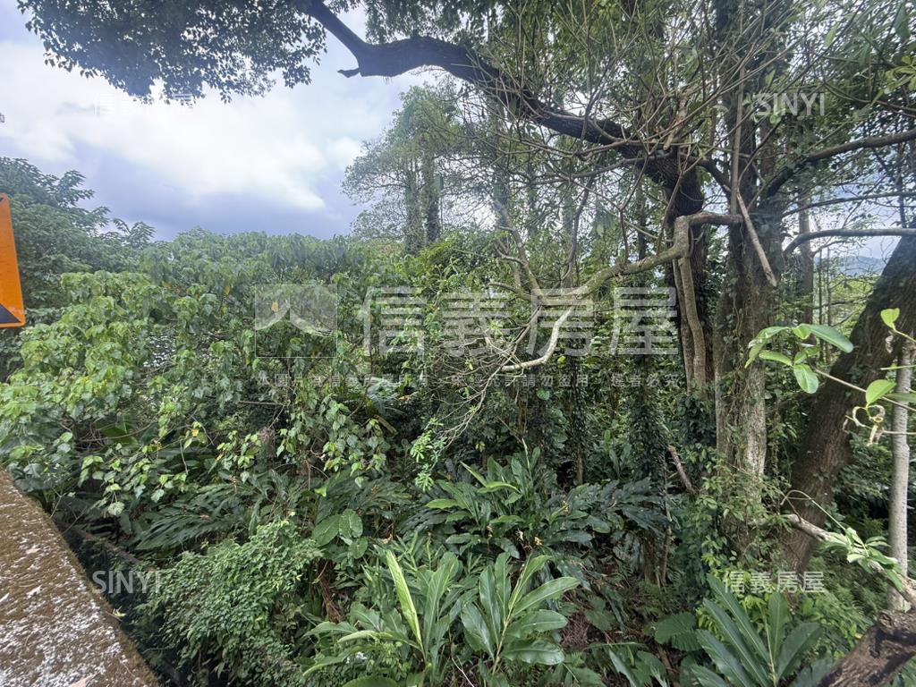 深坑區稀有農牧用地房屋室內格局與周邊環境