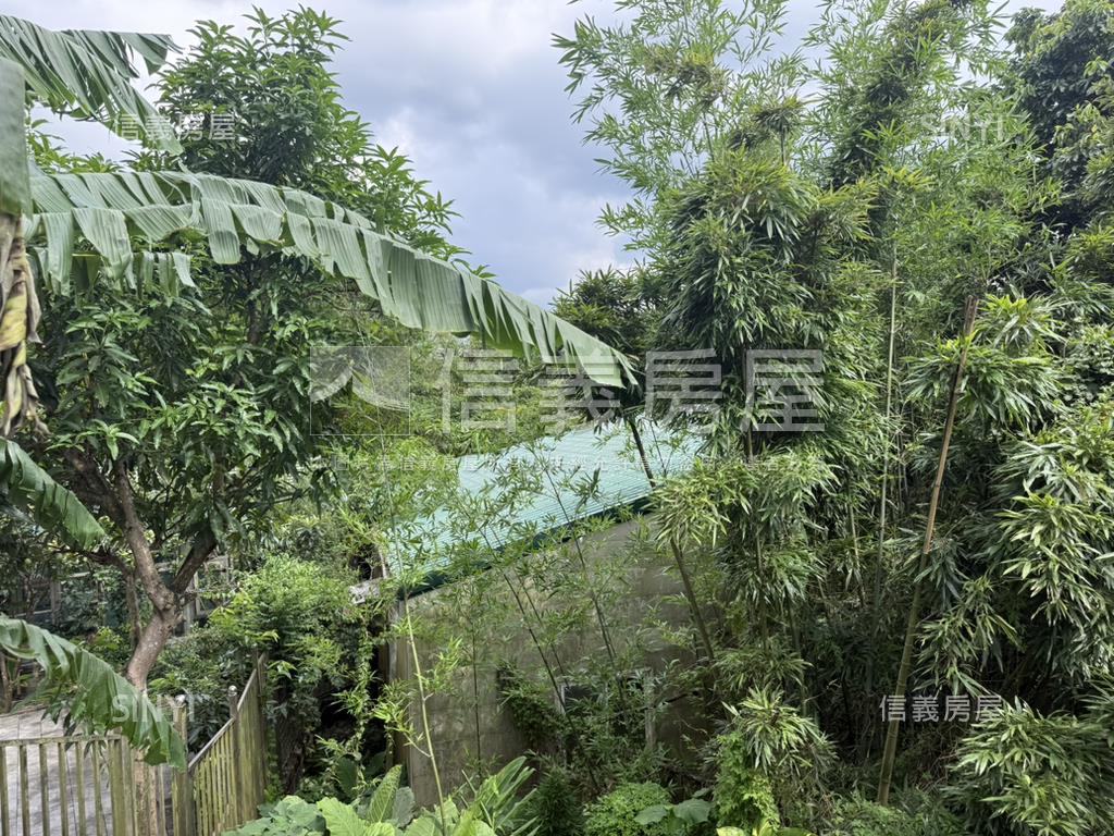 深坑區稀有農牧用地房屋室內格局與周邊環境