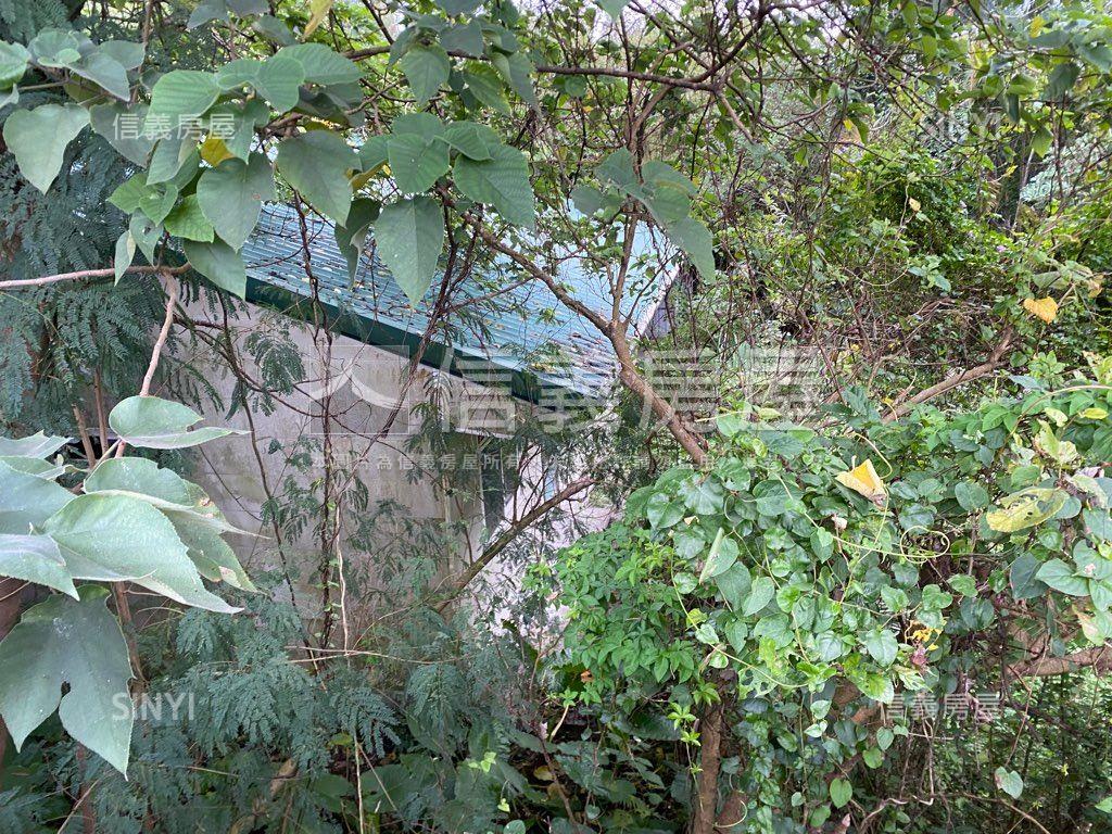 深坑區稀有農牧用地房屋室內格局與周邊環境