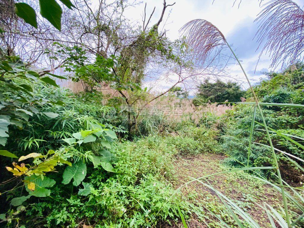 深坑區稀有農牧用地房屋室內格局與周邊環境