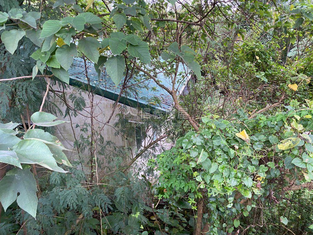 深坑區稀有農牧用地房屋室內格局與周邊環境