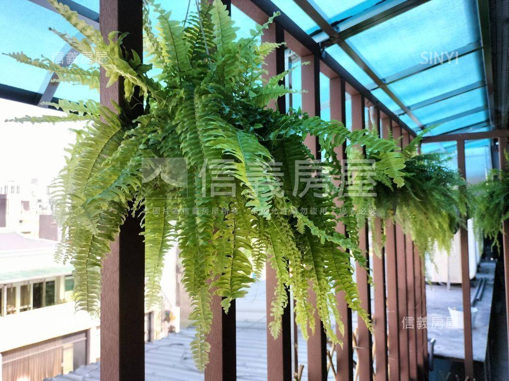 西門萬年商業大樓房屋室內格局與周邊環境