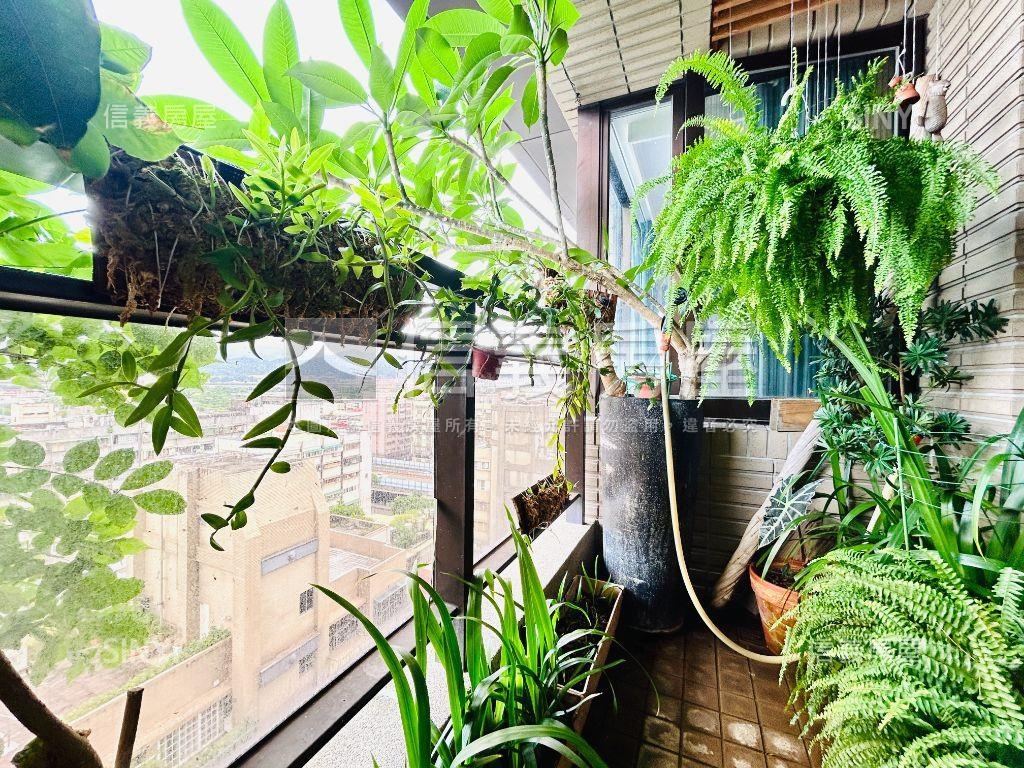 遠眺圓山飯店豪景京棧房屋室內格局與周邊環境