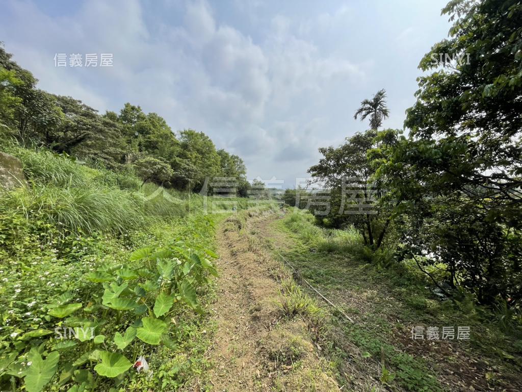 三芝區農三類臨路農地房屋室內格局與周邊環境