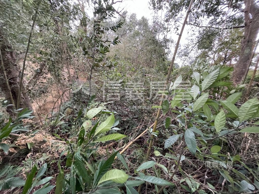 苗栗南庄農牧土地６１９坪房屋室內格局與周邊環境