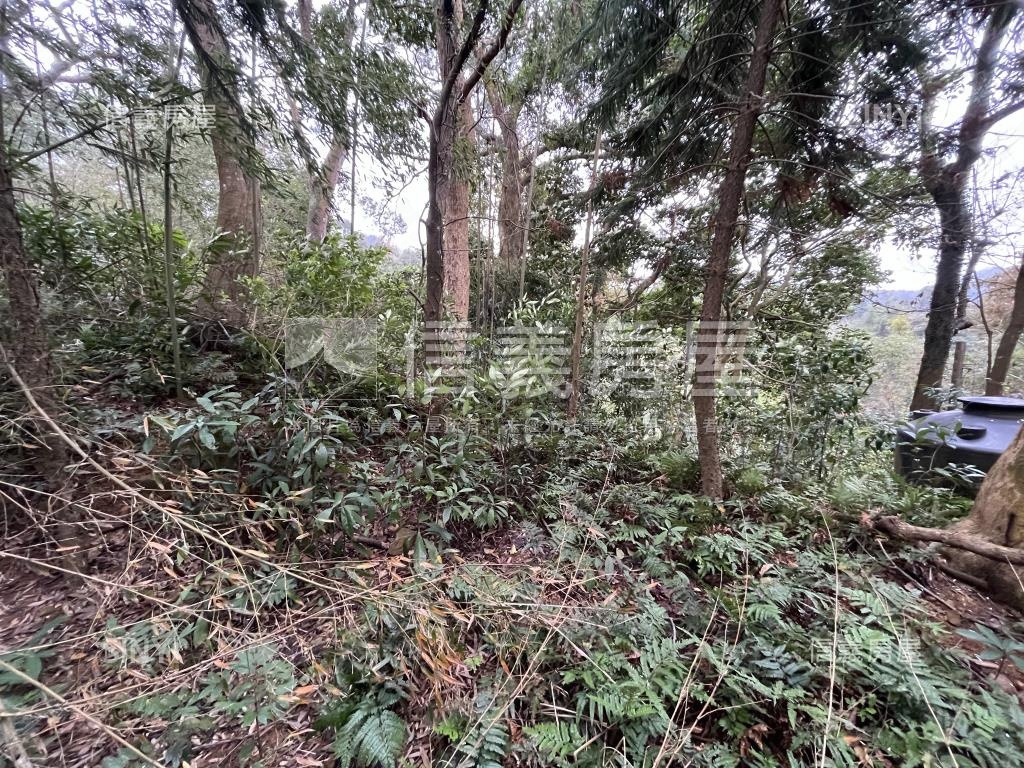 苗栗南庄農牧土地６１９坪房屋室內格局與周邊環境