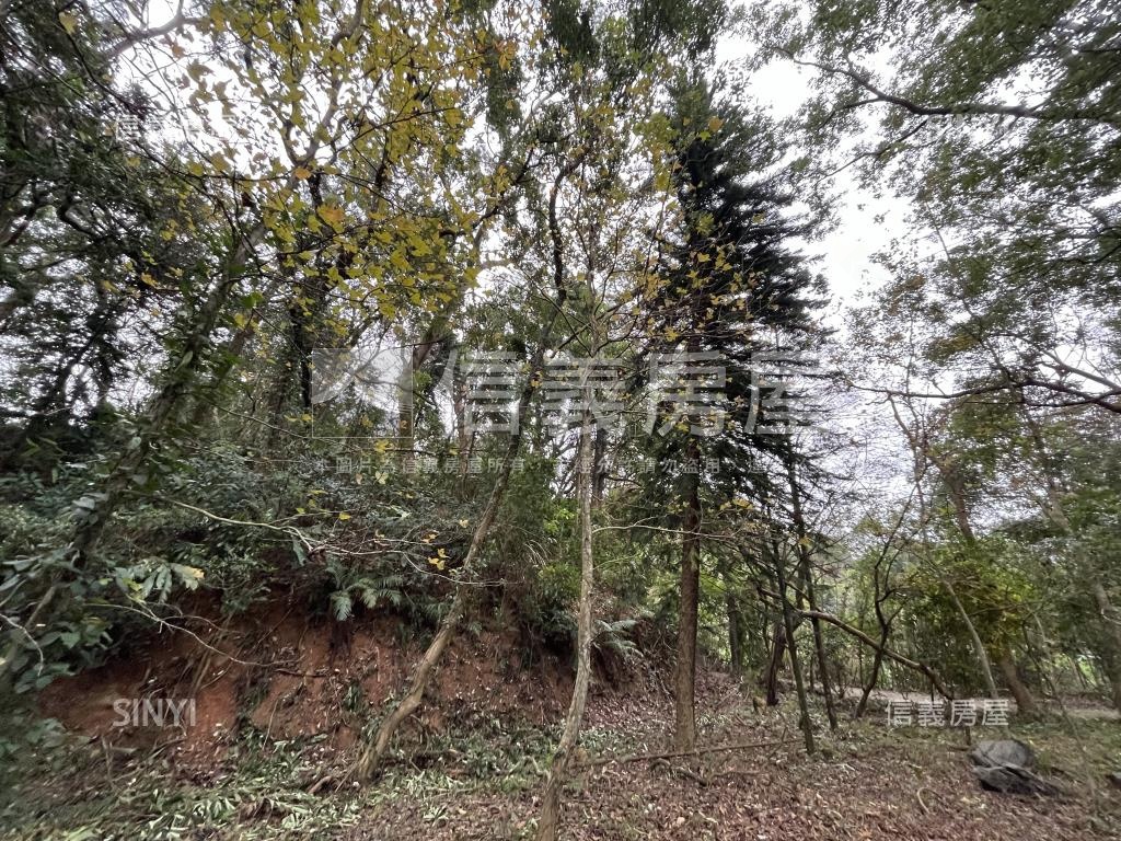 苗栗南庄農牧土地６１９坪房屋室內格局與周邊環境