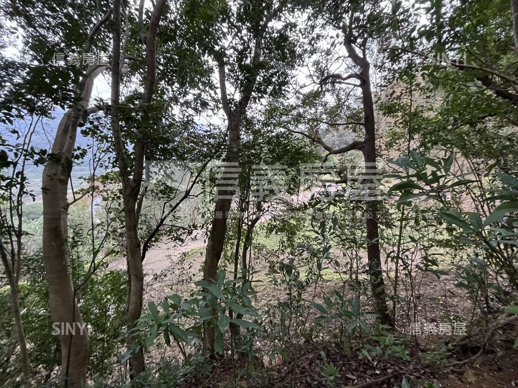 苗栗南庄農牧土地６１９坪房屋室內格局與周邊環境