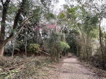 苗栗南庄農牧土地６１９坪