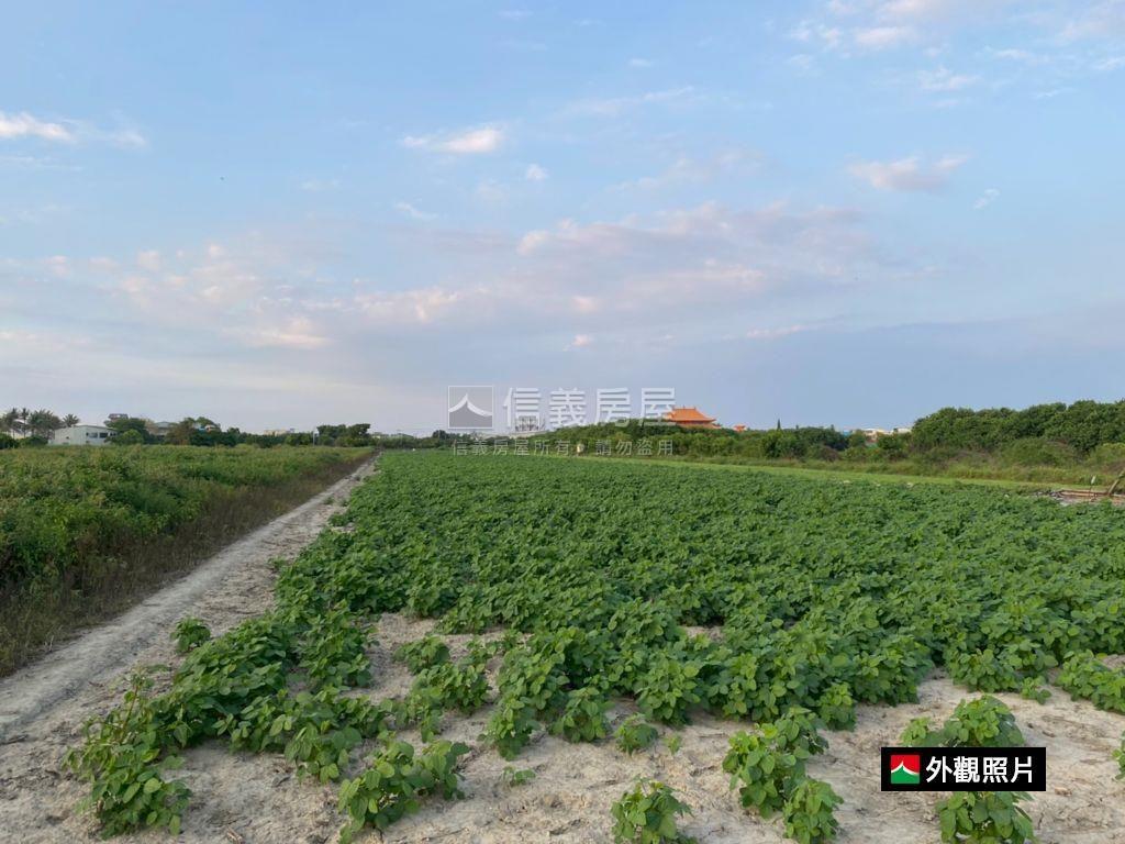 安南區佃南段｜大坪農地Ａ房屋室內格局與周邊環境