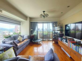 綠野景觀優質好屋