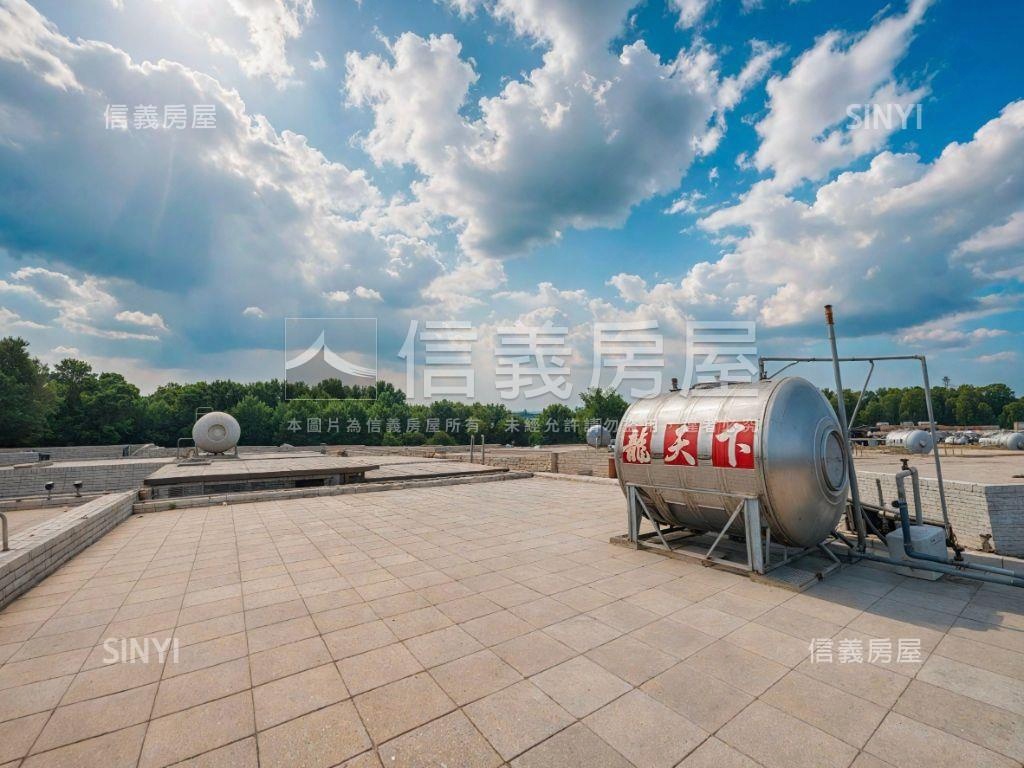 隆大鳳凰天畝Ⅲ庭院車墅房屋室內格局與周邊環境